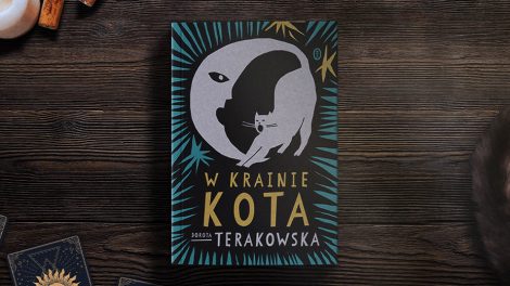W krainie kota - Dorota Terakowska