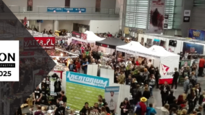 Pyrkon 2025